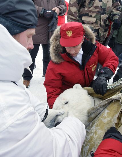 Vladimir Putin visits Franz Josef Archipelago