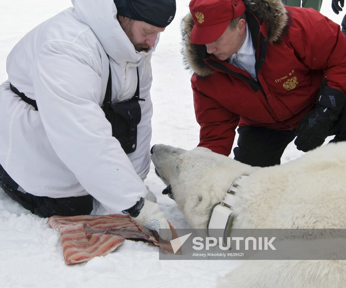 Vladimir Putin visits Franz Josef Archipelago