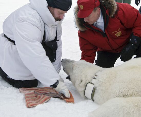 Vladimir Putin visits Franz Josef Archipelago