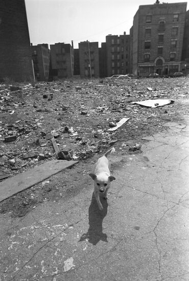 Abandoned buildings in South Bronx