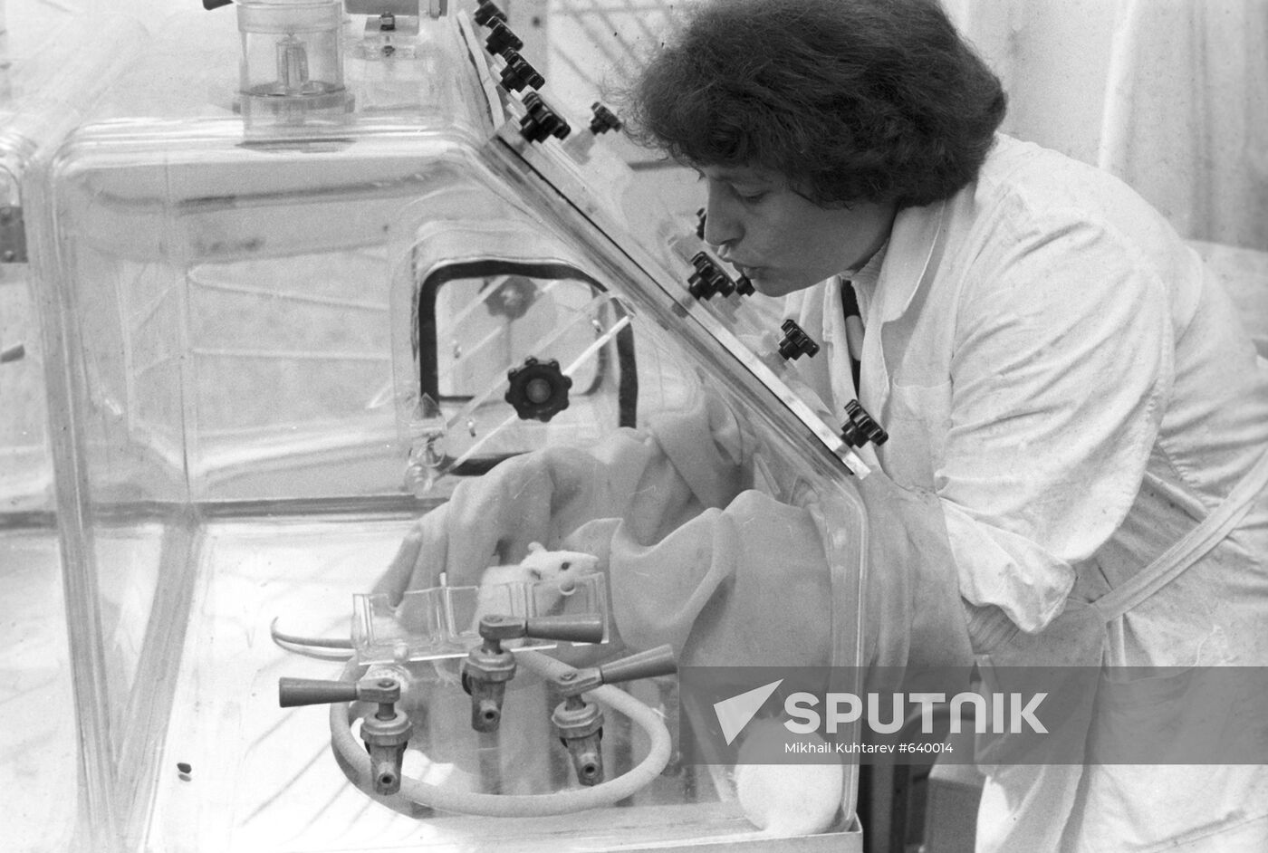 Institute for Medical and Biological Problems