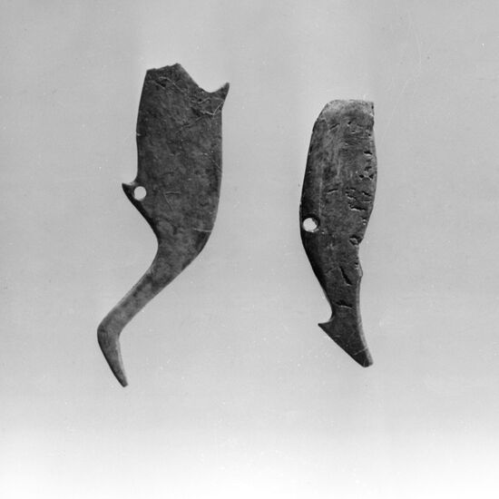 Bone adornments