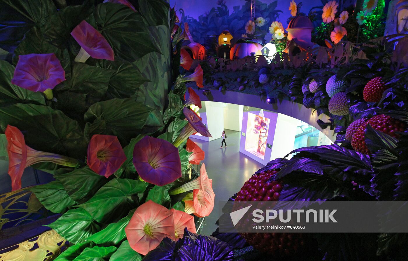 Russia's pavilion at Expo 2010