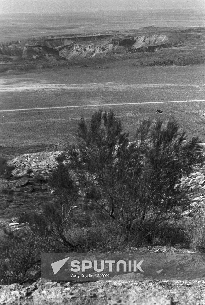 Ustyurt State Nature Reserve