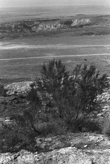Ustyurt State Nature Reserve