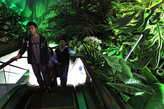Shanghai World Expo 2010