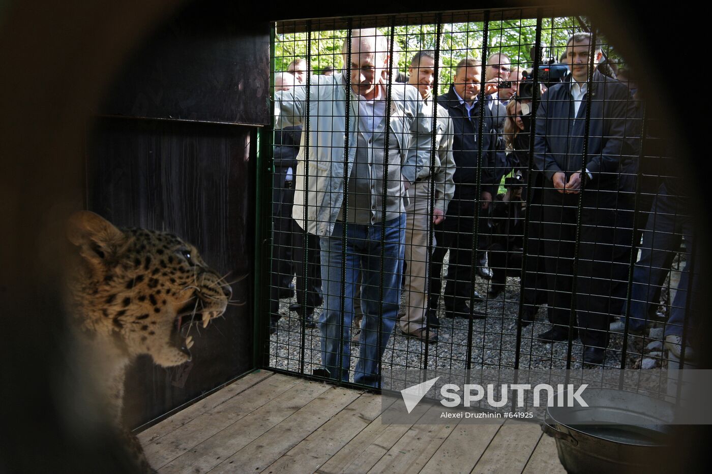 Vladimir Putin visits Sochi National Park
