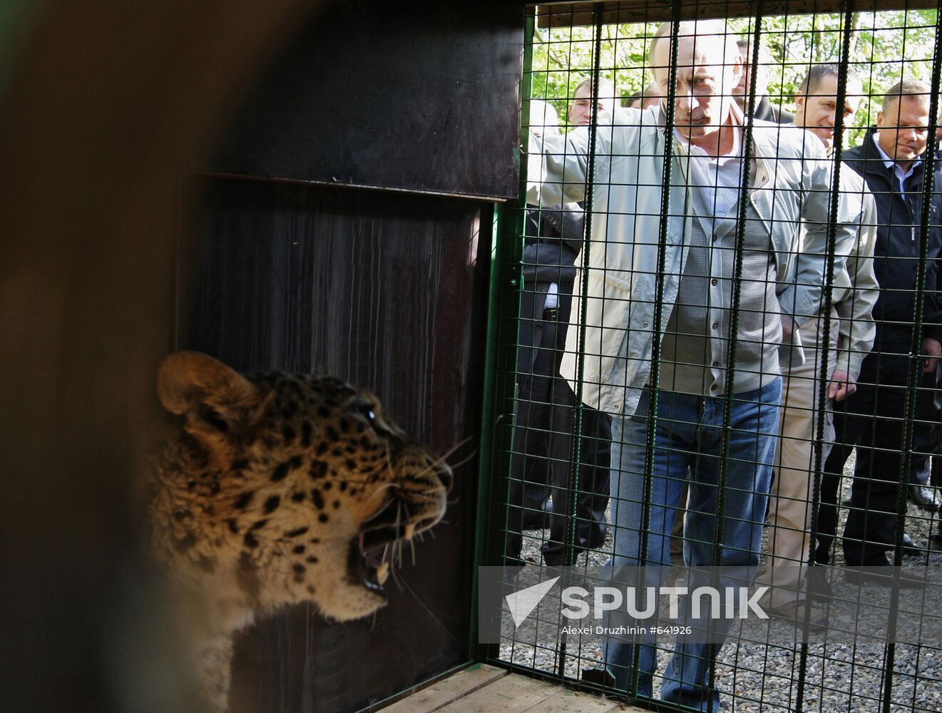 Vladimir Putin visits Sochi National Park
