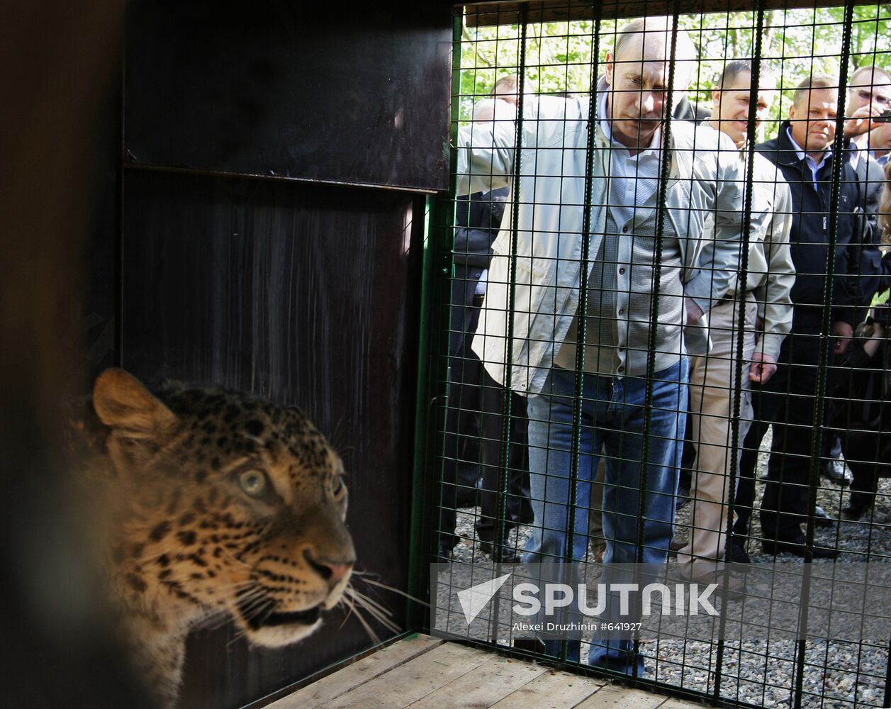 Vladimir Putin visits Sochi National Park