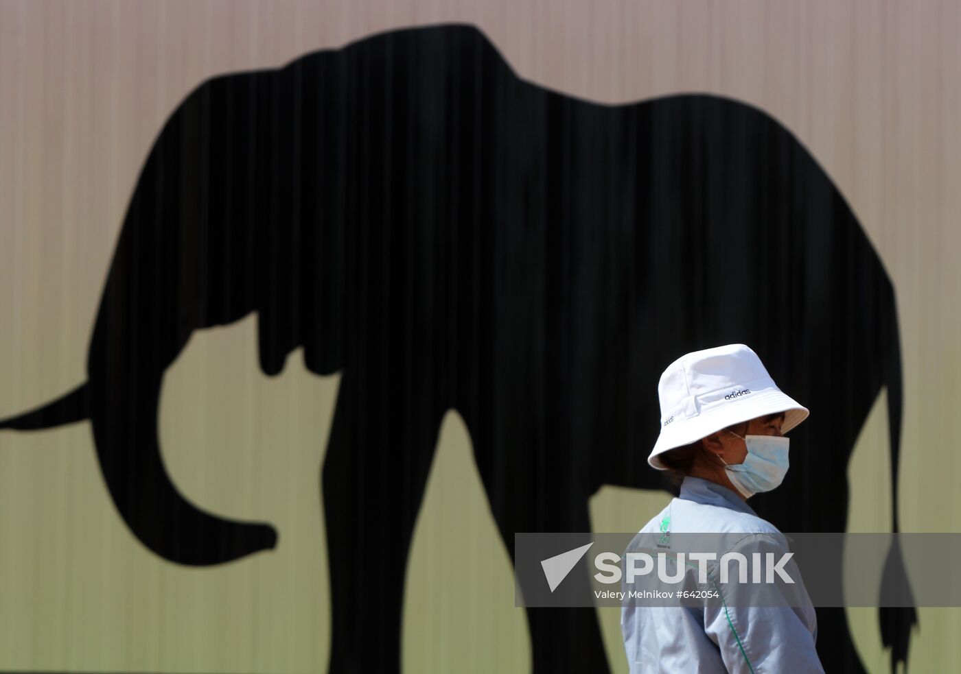 Visitor views items at Africa Pavilion at Shanghai World Expo