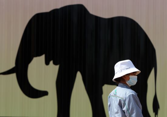 Visitor views items at Africa Pavilion at Shanghai World Expo