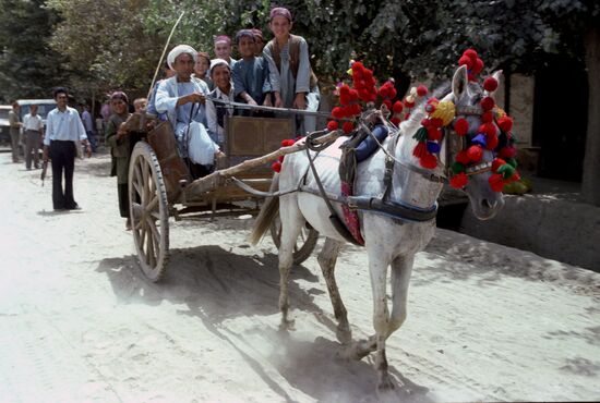 Passenger cart