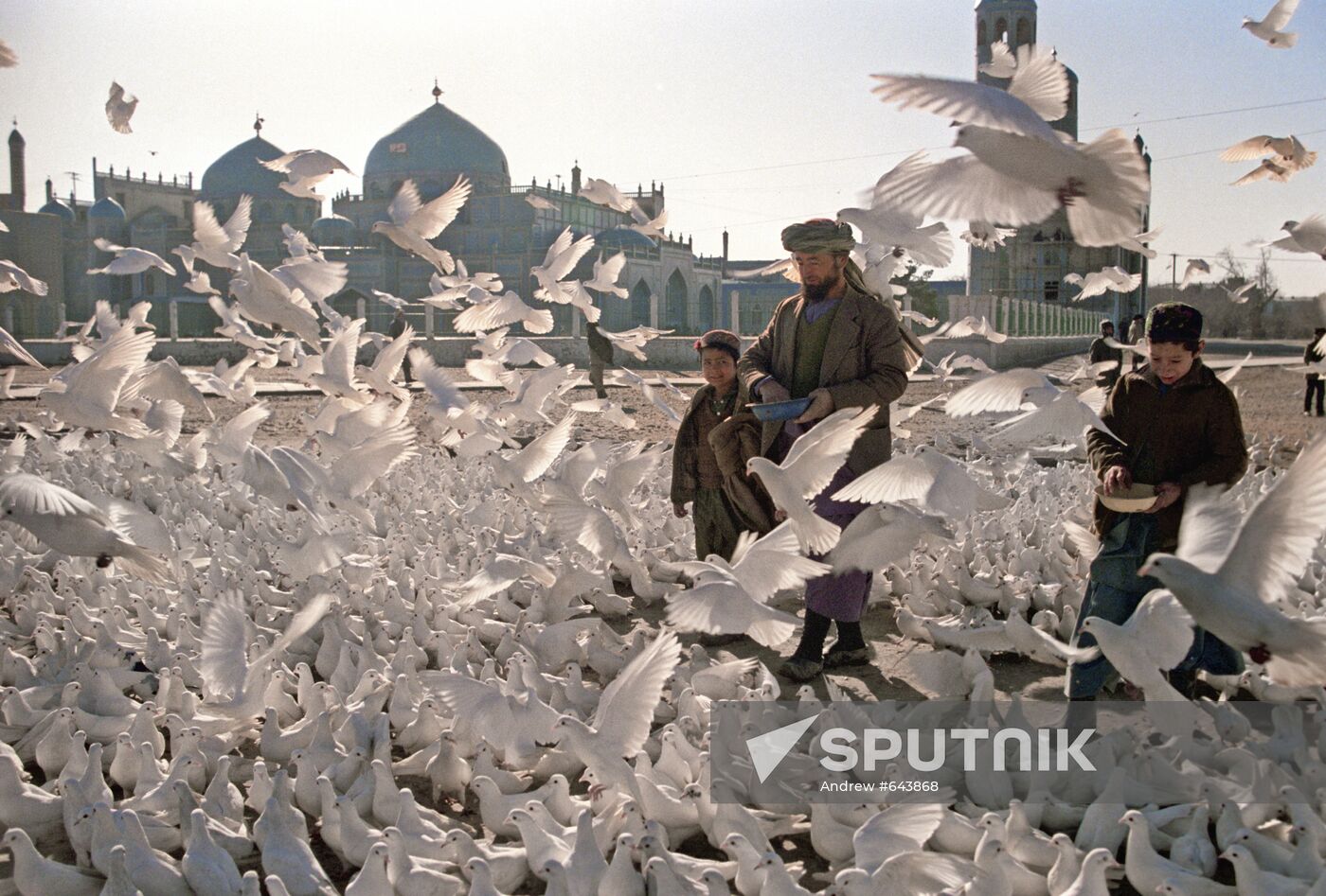 White doves in front of Mazar-e-Sharif Mosque