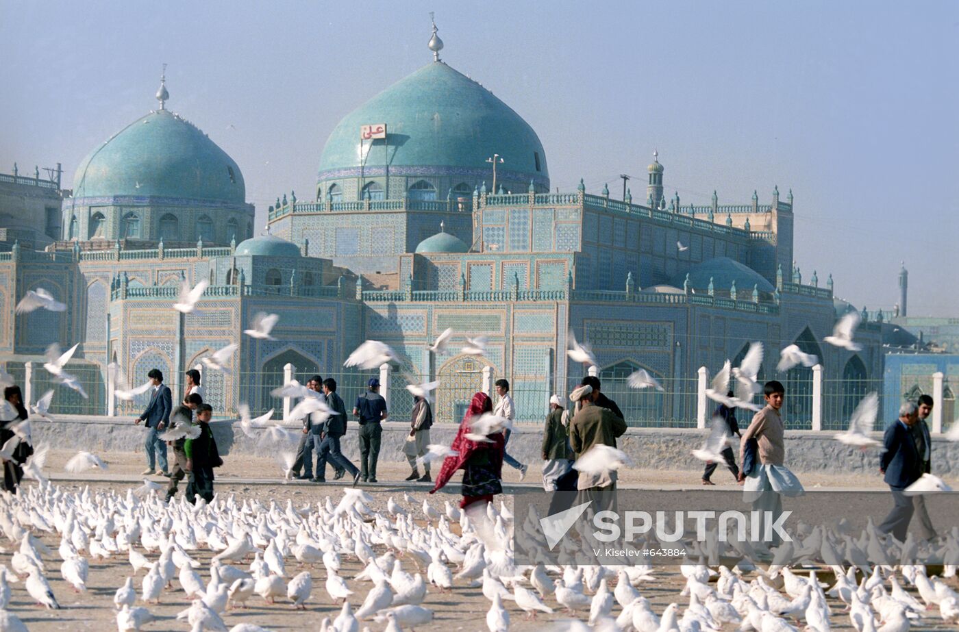 White doves in front of Mazar-e-Sharif Mosque