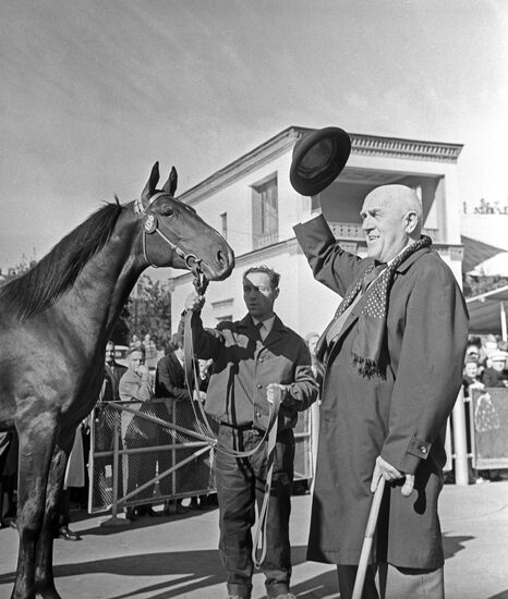 International Horse Auction, Moscow