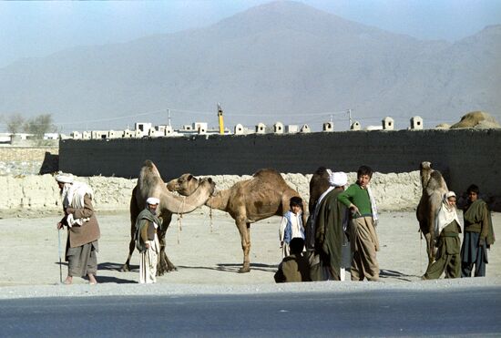 Bedouins in one of Kabul streets
