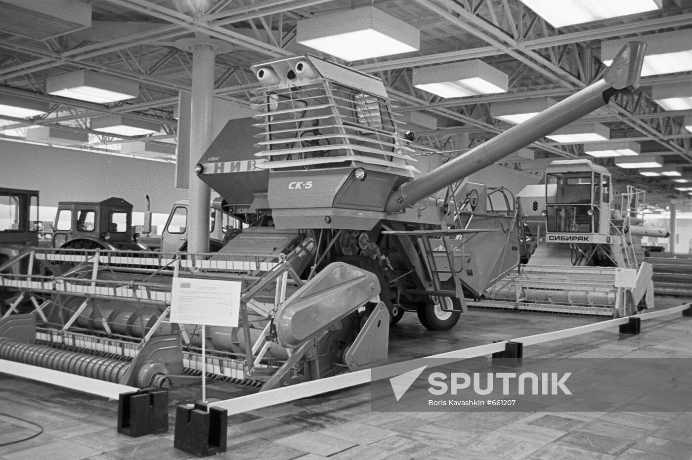 Combines "Niva" and "Siberian"