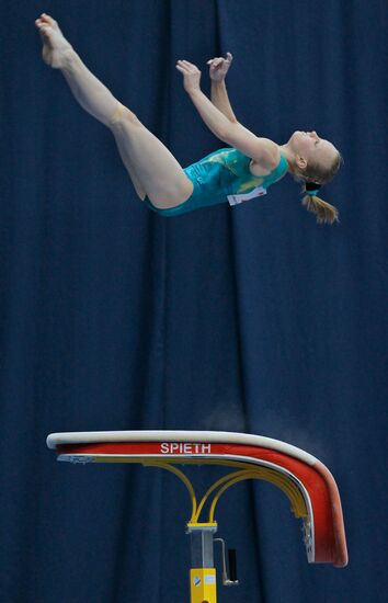 Artistic gymnastics. World Cup stage. First day