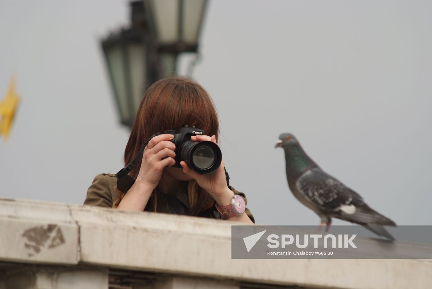 Girl taking picture of pigeon