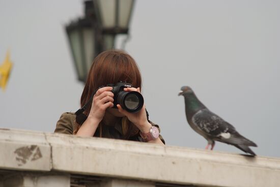Girl taking picture of pigeon