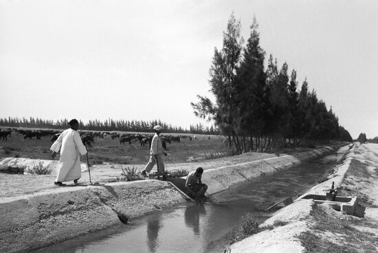 Irrigation canal