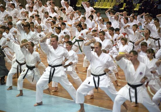 Martial arts festival