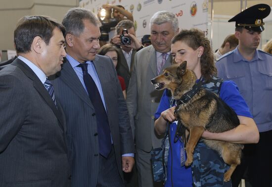 Igor Levitin and Sergei Shoigu