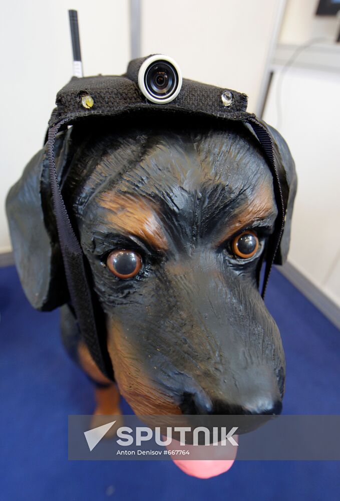 Mukhtar wireless camera for rescue dogs