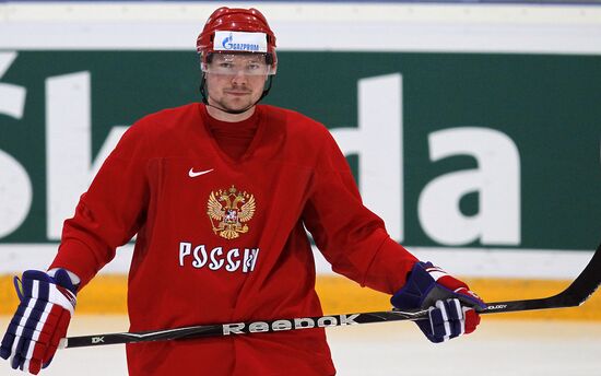 Sergei Gonchar