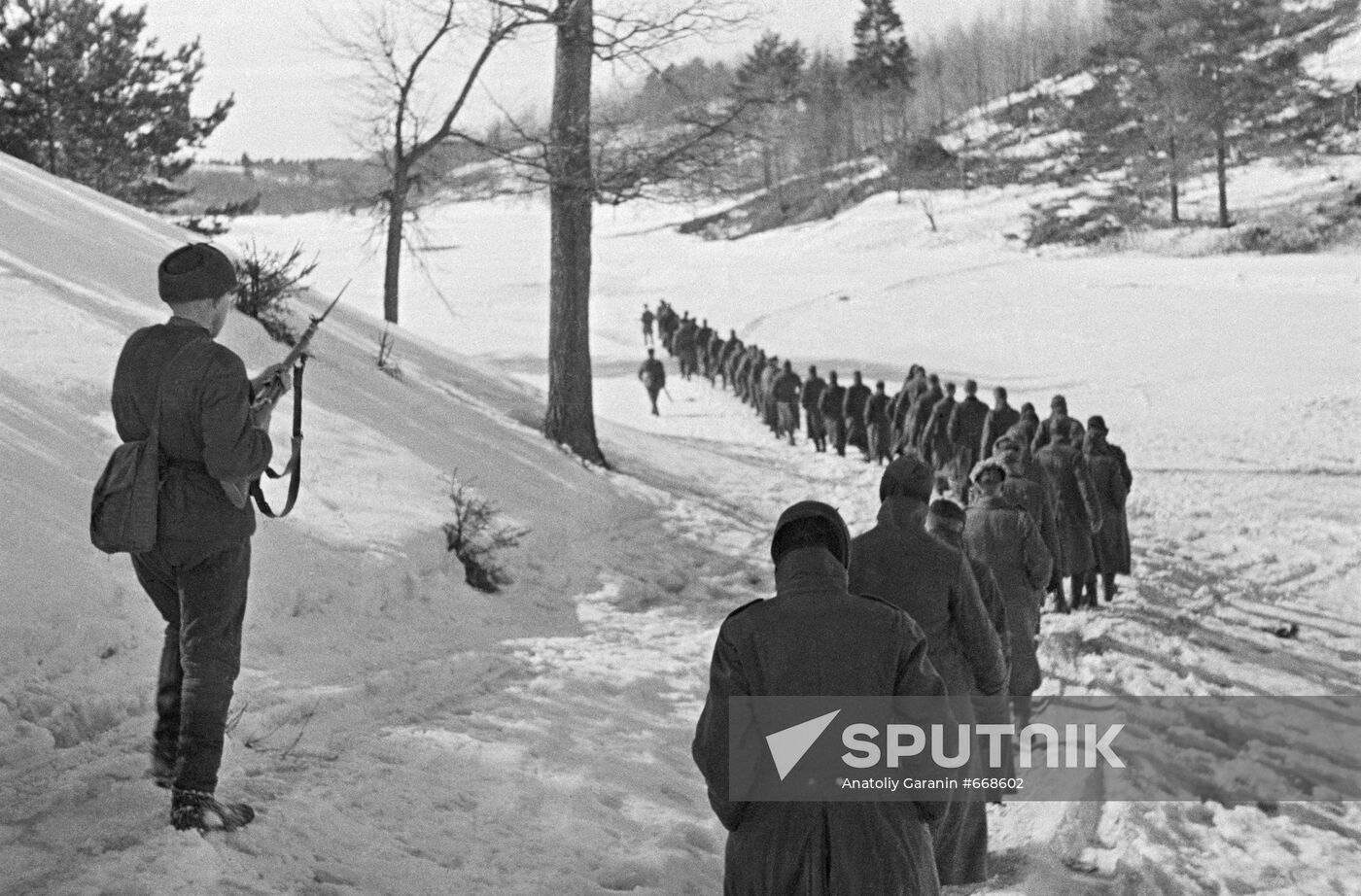 German prisoners outside Moscow