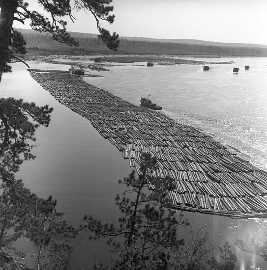 Timber rafting on Yenisei River