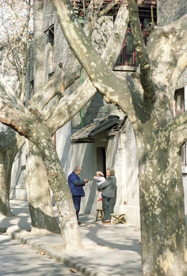 Shanghai yard