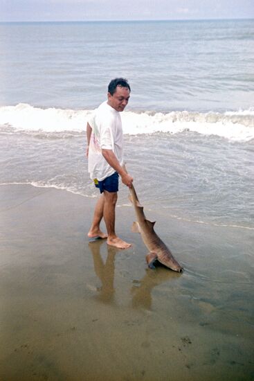 Fisherman with sand shark