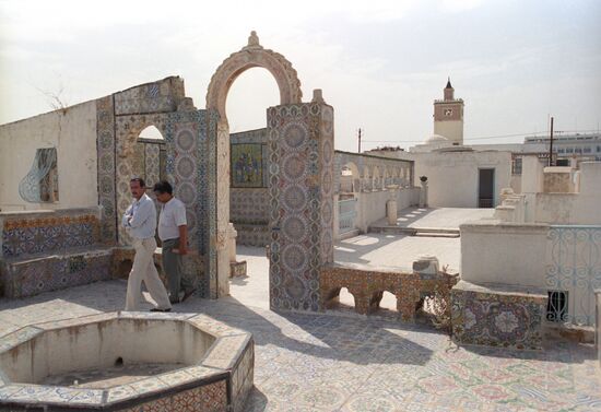 Excursions in Tunisia