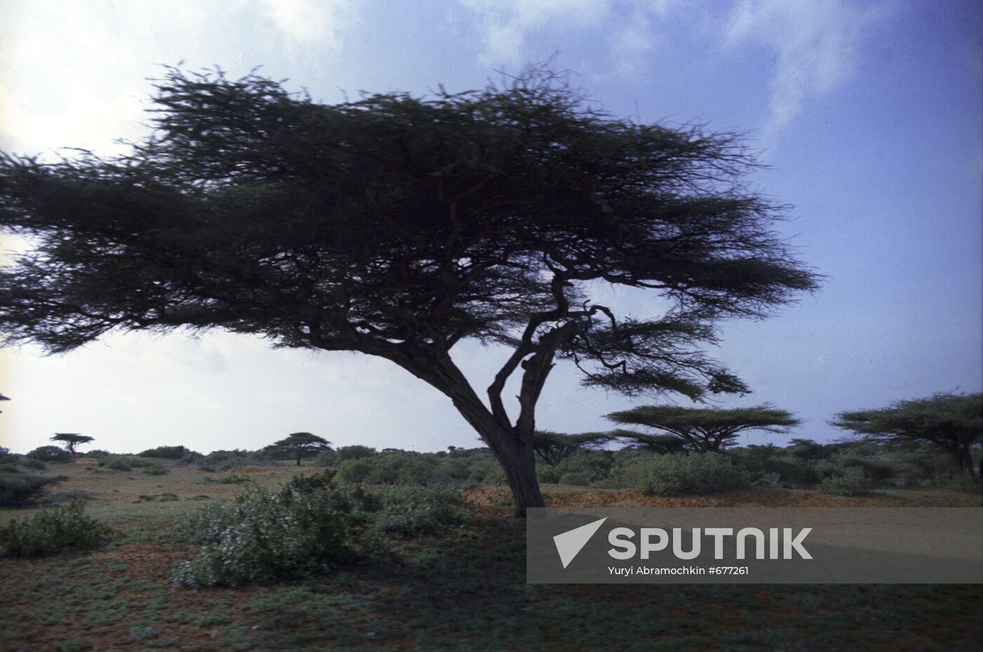 Somalian landscape