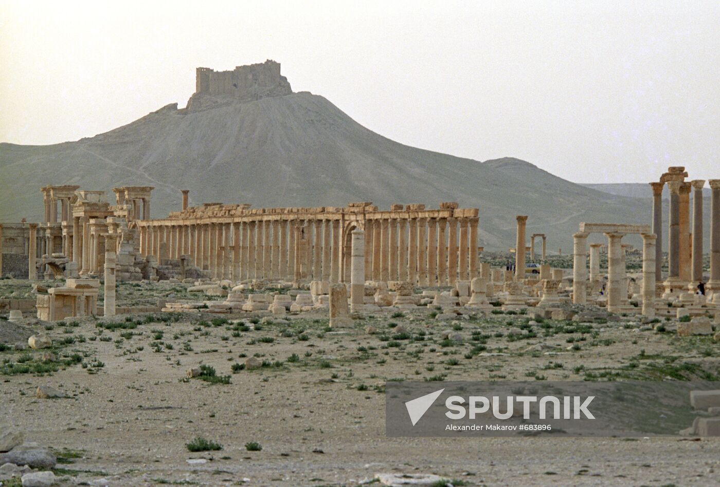 Ruins of the ancient town of Palmyra