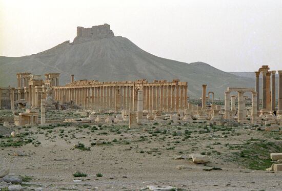Ruins of the ancient town of Palmyra