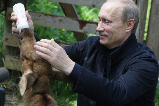 Vladimir Putin visits Losiny Ostrov National Park