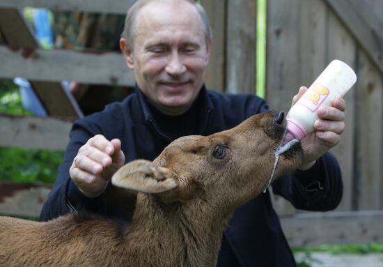 Vladimir Putin visits Losiny Ostrov National Park