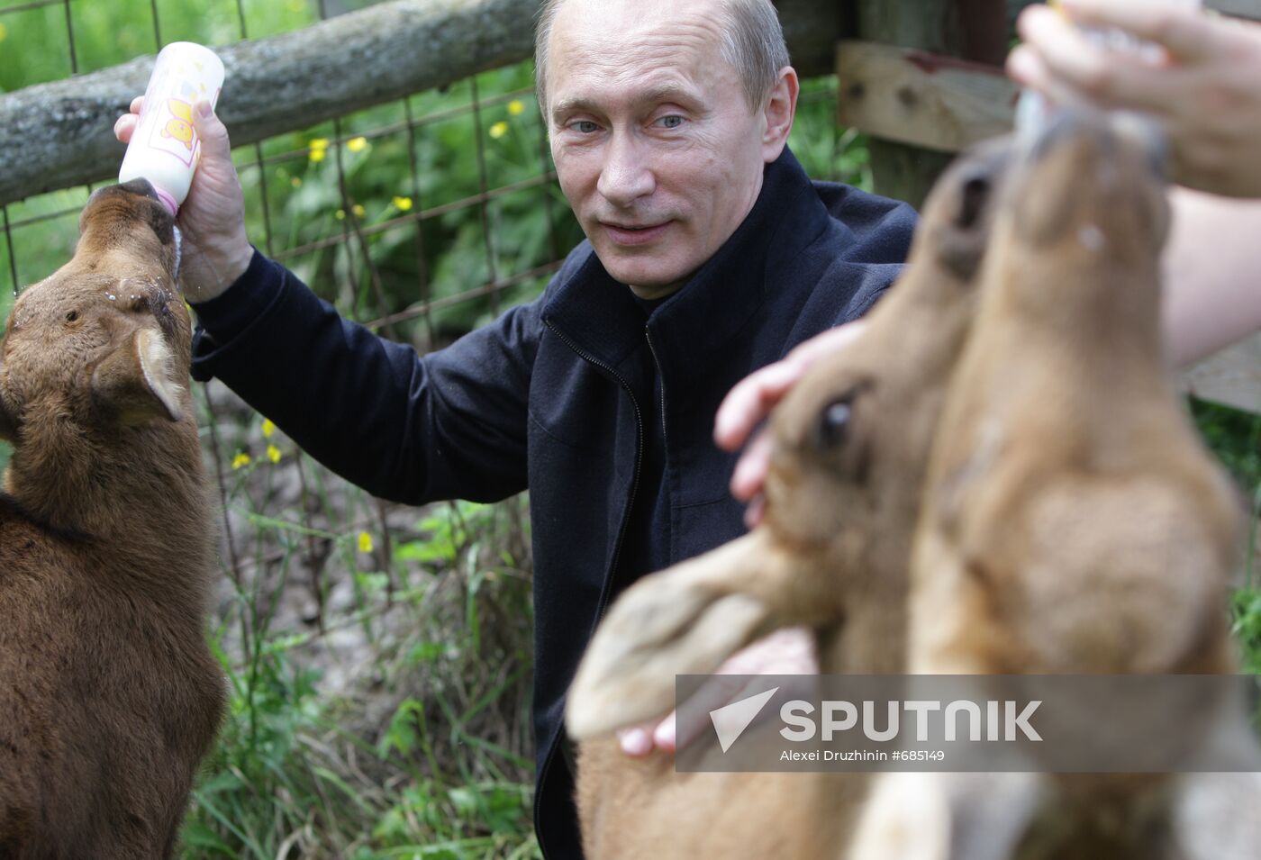 Vladimir Putin visits Losiny Ostrov National Park