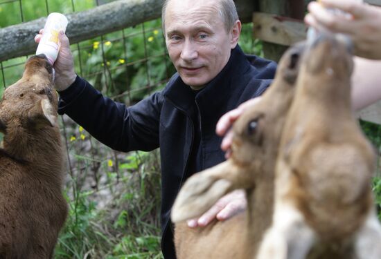 Vladimir Putin visits Losiny Ostrov National Park