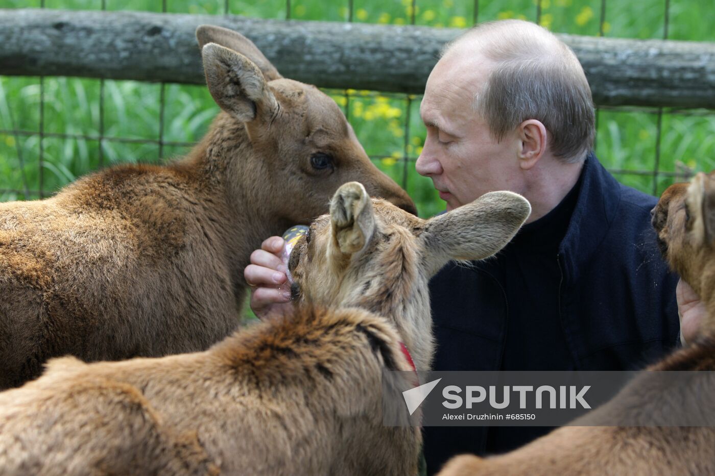 Vladimir Putin visits Losiny Ostrov National Park