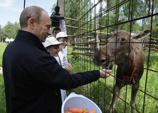 Vladimir Putin visits Losiny Ostrov National Park