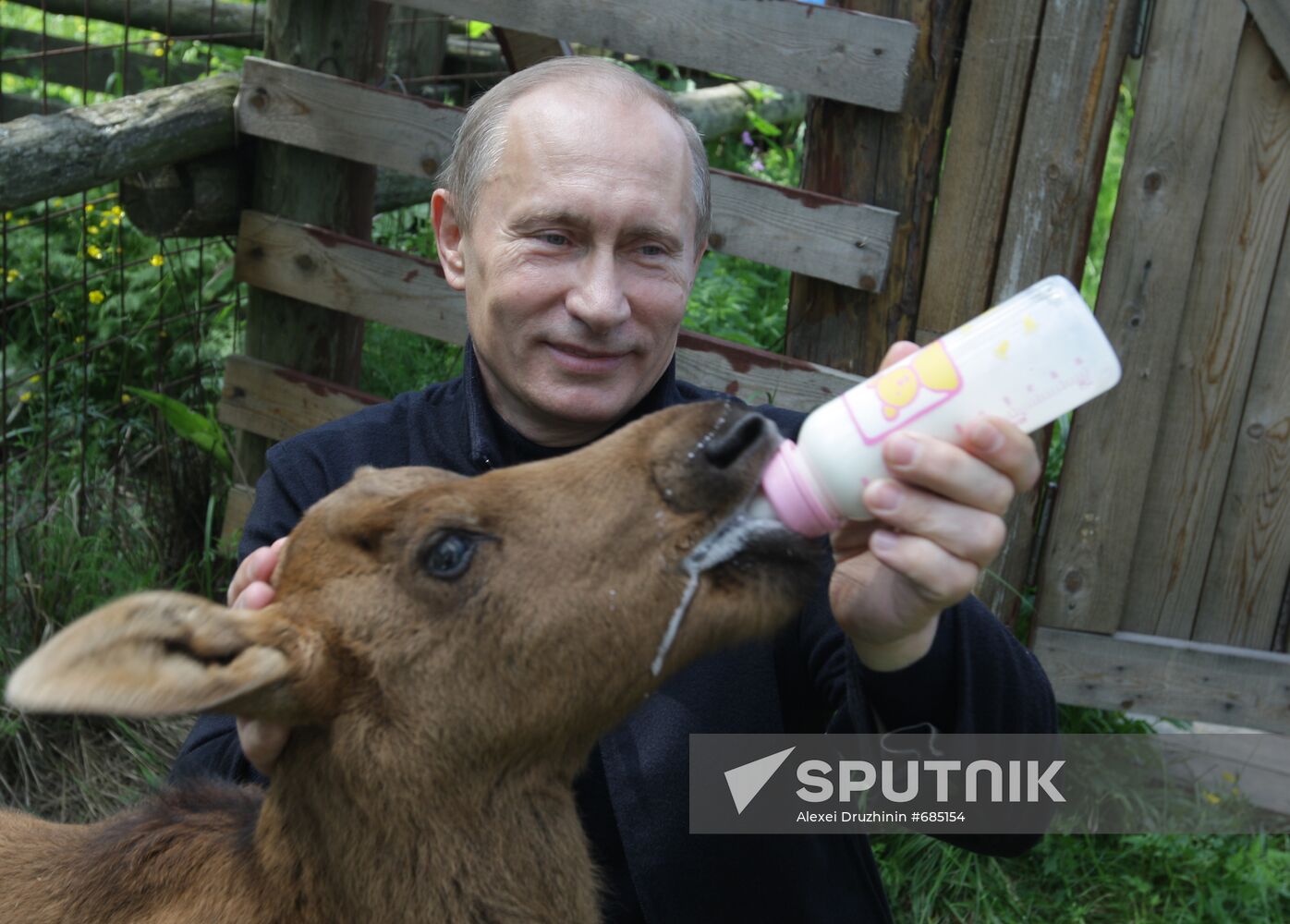 Vladimir Putin visits Losiny Ostrov National Park