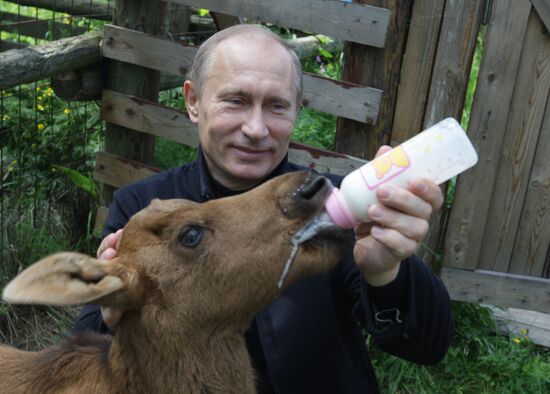 Vladimir Putin visits Losiny Ostrov National Park
