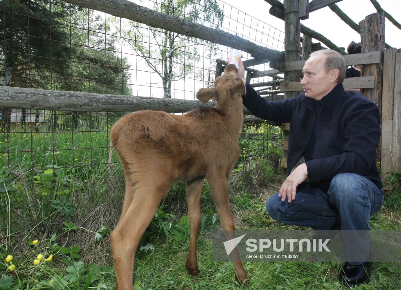 Vladimir Putin visits Losiny Ostrov National Park