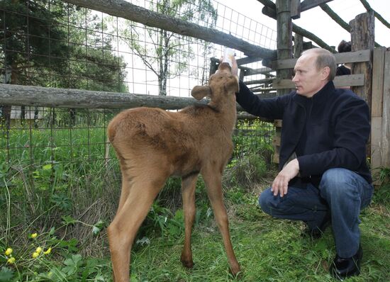 Vladimir Putin visits Losiny Ostrov National Park