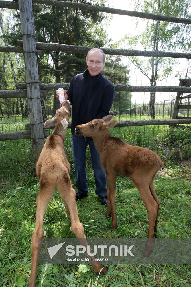 Vladimir Putin visits Losiny Ostrov National Park