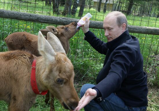 Vladimir Putin visits Losiny Ostrov National Park