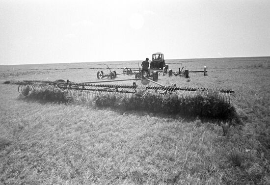 Mowing hay at the Chernozyomsky state farm